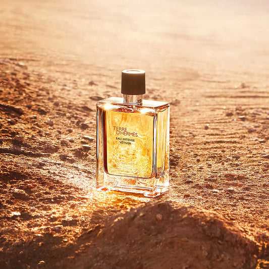 Hermes - Terre'd Hermes Vetiver